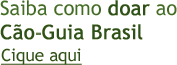 Saiba como doar ao C&atilde;o Guia Brasil